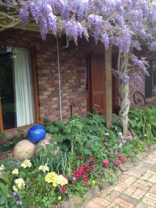 Wisteria Lodge - Accommodation Burleigh 4