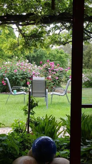 Wisteria Lodge - Accommodation Burleigh 5
