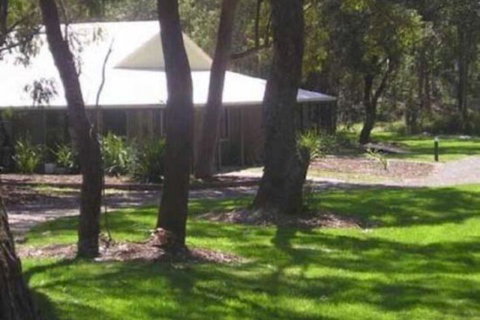Port Stephens Koala Sanctuary - Accommodation Burleigh 6