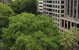 Madison Carrington Apartments - thumb 1