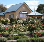 Willows Motel - Accommodation Burleigh