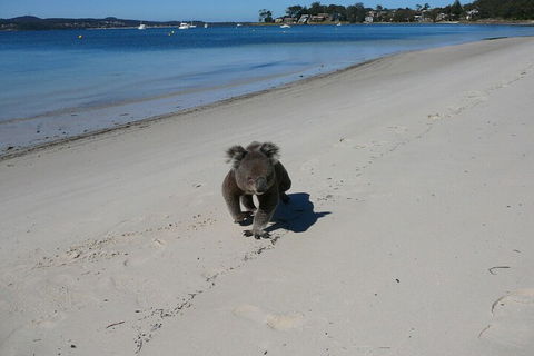 The Mitchells Waterfront Bed & Breakfast - Accommodation Burleigh 7
