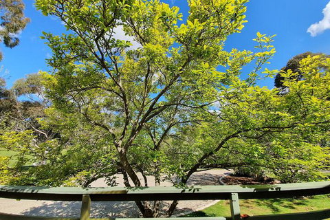 Annies Holiday Units - Accommodation Burleigh 2