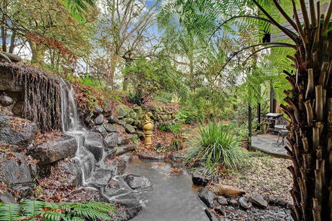 Forget Me Not Cottages - Accommodation Burleigh 4