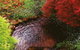 Forget Me Not Cottages - thumb 1