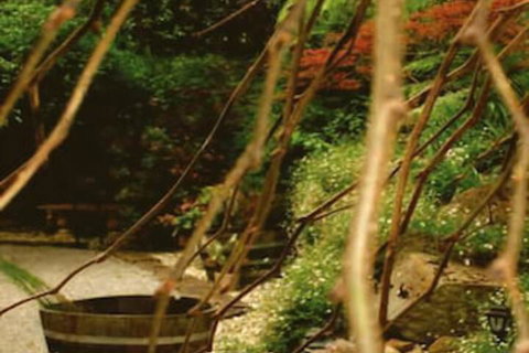 Forget Me Not Cottages - Accommodation Burleigh 3