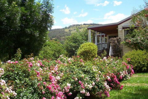 Yarra Glen Bed & Breakfast - Accommodation Burleigh 7