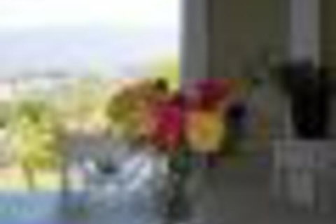 Eagles View Bed & Breakfast - Accommodation Burleigh 6