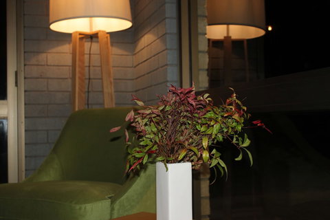 Mount Gambier International Motel - Accommodation Burleigh 1