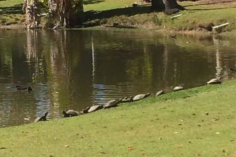 Sanctuary Lakes Fauna Retreat - Accommodation Burleigh 1
