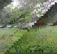 Amy's House - Accommodation Burleigh