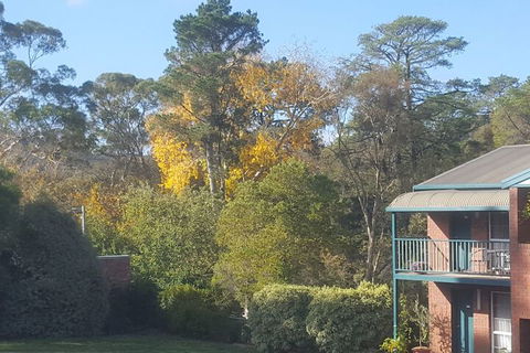 Hepburn Springs Motor Inn - Accommodation Burleigh 5
