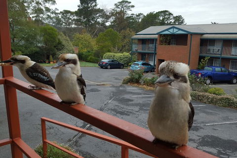 Hepburn Springs Motor Inn - Accommodation Burleigh 6