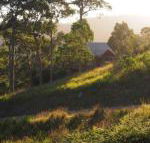 Bundle Hill Cottages - Accommodation Burleigh