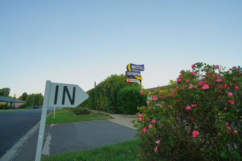 Olympia Motel - Accommodation Burleigh 0