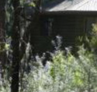 Twin Falls Bush Cottages - Accommodation Burleigh