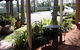 Avaleen Lodge Motor Inn - thumb 0