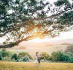 Cedia at Byron Bay Hinterland - Accommodation Burleigh