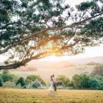 Cedia At Byron Bay Hinterland - Accommodation Burleigh 0