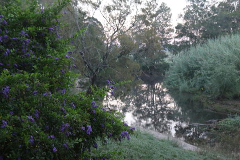 Serendipity On Allyn - Accommodation Burleigh 7