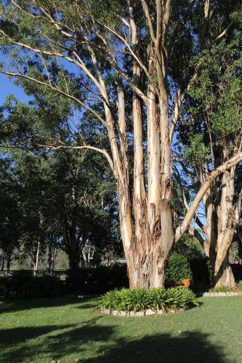 Serendipity On Allyn - Accommodation Burleigh 5