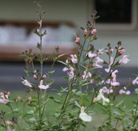 Serendipity on Allyn - Accommodation Burleigh