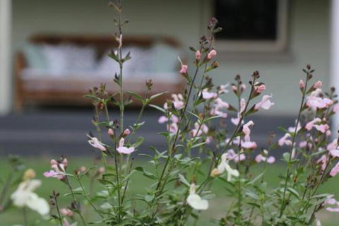 Serendipity On Allyn - Accommodation Burleigh 0