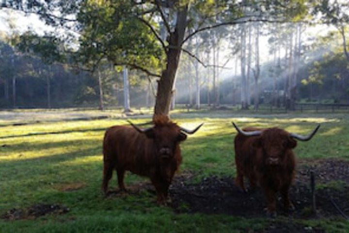 Glenhaven NSW Accommodation Burleigh