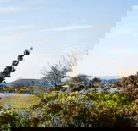 Botanica - Accommodation Burleigh