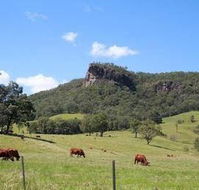 Rosevale House - Accommodation Burleigh
