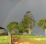 CBR Equine Cottage - Accommodation Burleigh