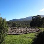 Hawksview At Mafeking - Accommodation Burleigh 0