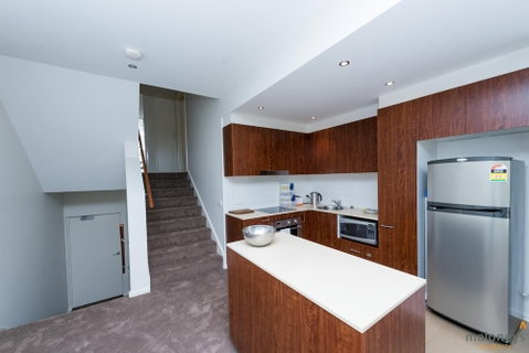 Accommodate Canberra - Metropolitan - Accommodation Burleigh 4