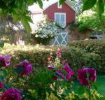 A Country Barn Retreat - Accommodation Burleigh