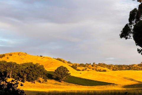 Dairymans Cottage - Accommodation Burleigh 6