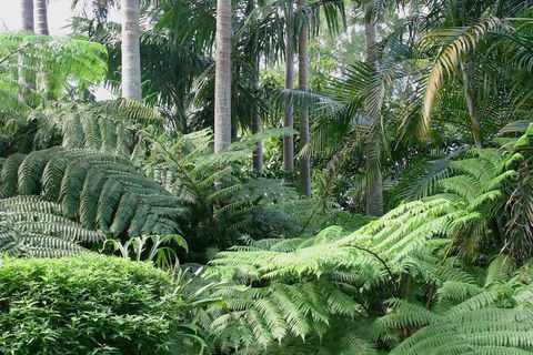Amore Mt Tamborine - Accommodation Burleigh 1