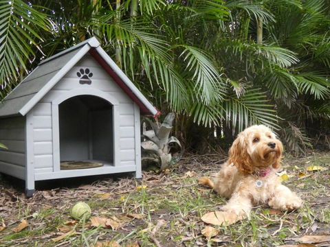 CHILL OUT BEACH HOUSE At FORSTER - Accommodation Burleigh 3