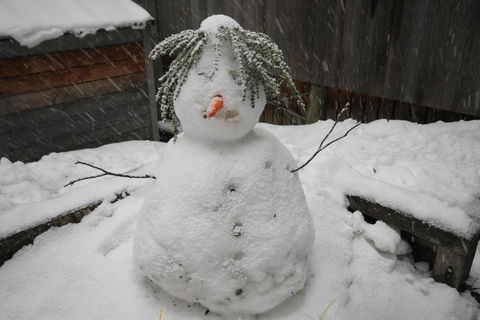 CHILL OUT At THREDBO - Accommodation Burleigh 2