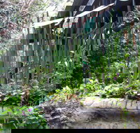 Lemonade Creek Cottages