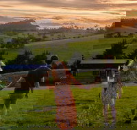 Tilba Lake Pods - Accommodation Burleigh