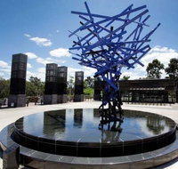 Blue Tree Grill - Accommodation Burleigh