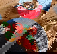 Habituel - Accommodation Burleigh