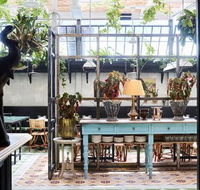 Queen Chow Enmore - Accommodation Burleigh