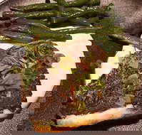 Cento 22 - Accommodation Burleigh