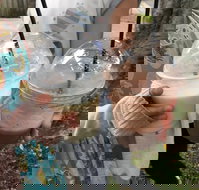 Bean Tree Cafe - Accommodation Burleigh