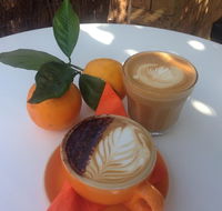 The Orange Tree - licensed cafe by the river - Accommodation Burleigh