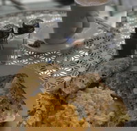 Blu J's - Accommodation Burleigh