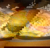 Finn  Co Cafe - Accommodation Burleigh