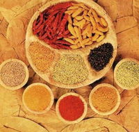 Tehzeeb Indian and Australian Restaurant - Accommodation Burleigh
