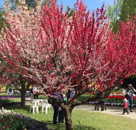 Mirchi Indian Cuisine - Accommodation Burleigh